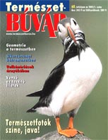 KPTR 2005/01.
