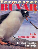 Kptr 2006/06.