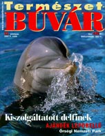 Kptr 2007/05.